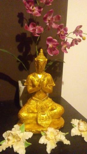 BUDA THAI 28CM