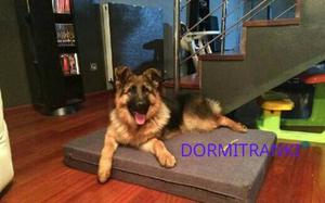 Colchon Cama Mascota Perro 1x68x12 Funda Lavable