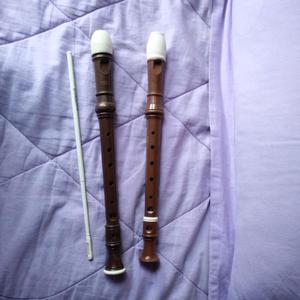 flautas dulce 100$ cada una