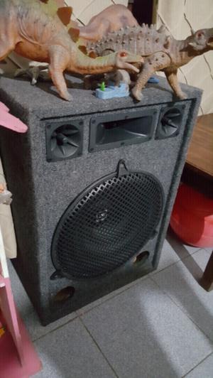 Bafle JBL SELENIUM DEL 15. IGUAL A NUEVO