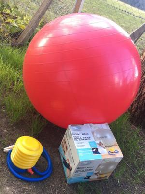 Pelota esferica de efercicio 65 cm con inflador