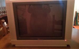 VENDO TELEVISOR 21"