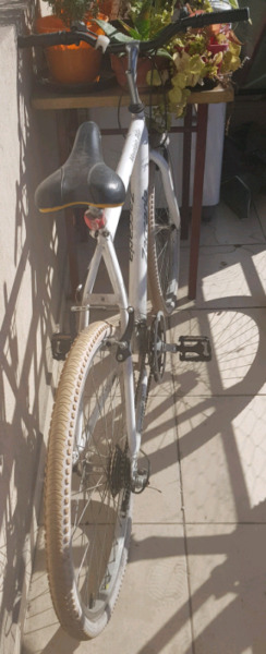 Bicicleta blanca.