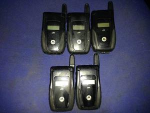 Nextel Equipos Libres Importados I560 Negro Black Resistente