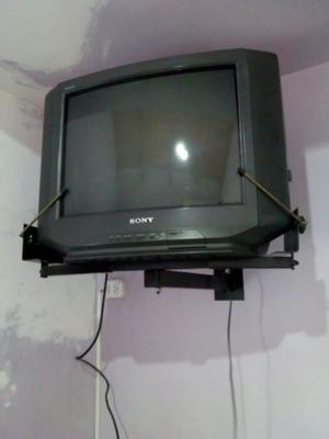 Televisor Sony 21", con soporte.