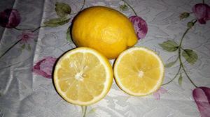 Limones orgánicos x30 unidades