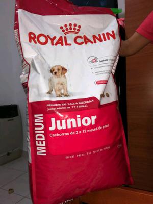 Comida royal canin