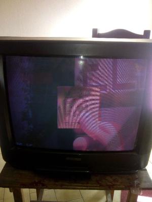 Televisor Serie Dorada 20" con control remoto