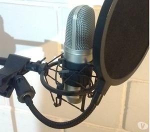 Microfono Behringer B1 (profesional)