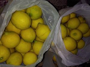 Vendo limones _________