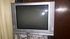 Vendo TV 29" pantalla plana marca Philco