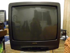 Televisor Sanyo 21 Pulgadas