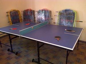 Ping Pong, Mesas Profesionales, Plegables