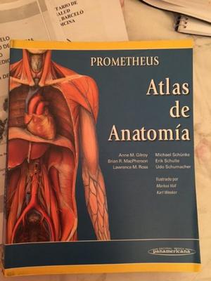 Atlas de Anatomia de Prometheus. Ed Panamericana
