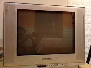 TELEVISOR NOBLEX 21 PANTALLA PLANA