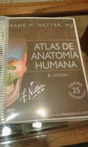 Atlas de Anatomía Humana Frank Netter 6ta Edición