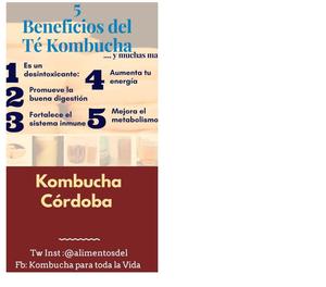 Kombucha - Venta en Argentina