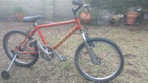 Vendo bici niño rodado 20