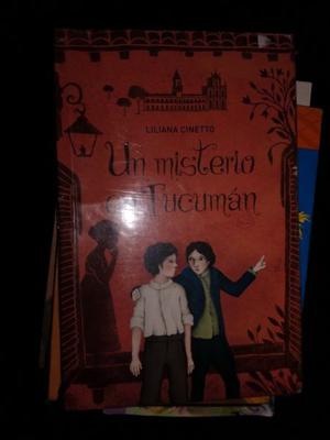 Un Misterio En Tucumán - Liliana Cinetto - Alfaguara SIN