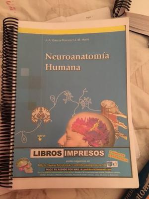 Libro Neuroanatomia Humana Garcia Porrero Fotocopeado color