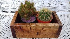 Macetas de madera para cactus y crasas