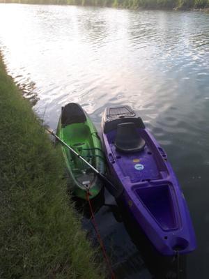 Kayak mdq violeta