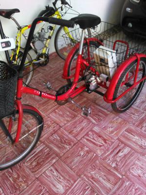 Triciclo electrico para adulto pesos 