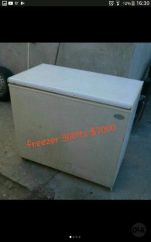 Freezer 300lts Fam