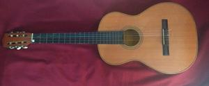 Se vende Guitarra criolla