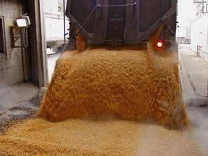 promocion de cereales en general maiz avena expeller de soja