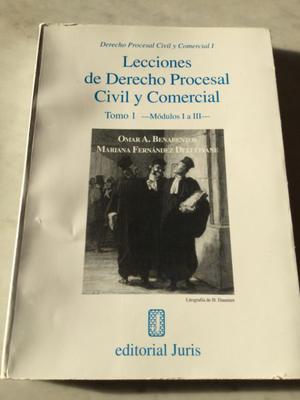 Libro lecciones de derecho procesal civil y comercial, omar