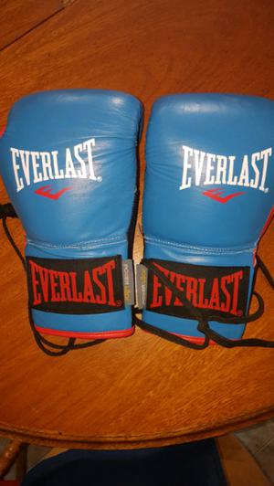 Guantes Everlast 12 oz