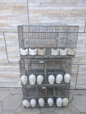 jaulas para cria d canarios
