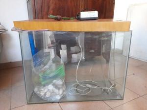 Vendo pecera completa