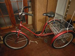 Tricicleta ruedas grandes (Bicicleta 3 tres ruedas)