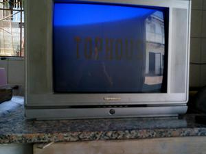 Televisor 20 pulgadas tophouse