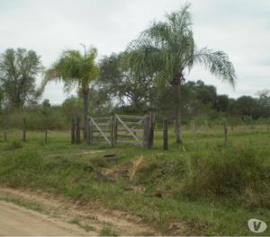 Vendo CAMPO MIXTO 200 hectáreas en Colonia Elisa Chaco