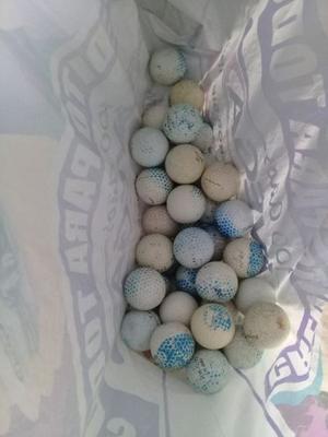 vendo 12 palos de golf con pelotas