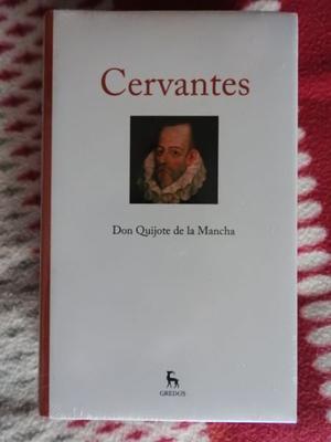 Quijote de la Mancha de Cervantes 450$