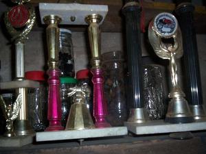 trofeos varios - lote 146