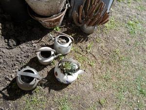 PAVAS USADAS PARA MACETAS Y PLANTAS