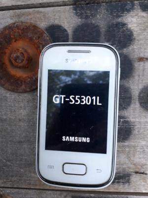 Samsung gt s  L