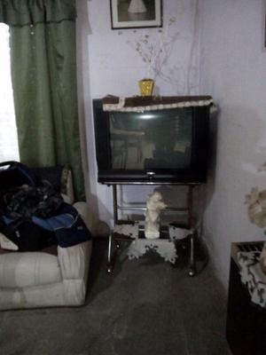 Vendo televisor 29