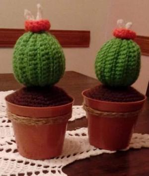 Cactus Tejidos Al Crochet