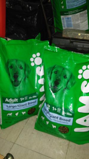 Alimento IAMS adulto