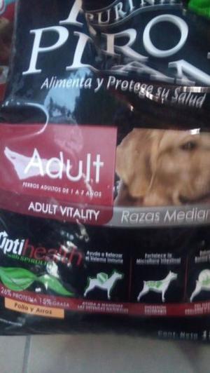 Alimento para perros