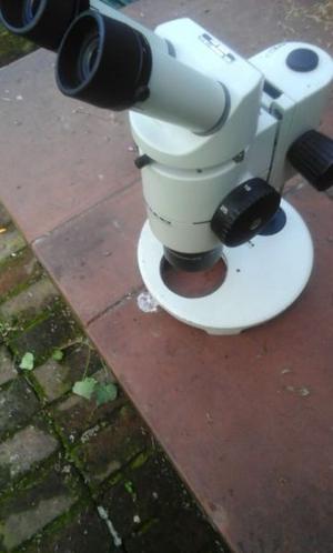 Lupa estereoscopica y microscopio