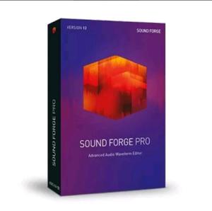 Sound Forge Pro 12.0
