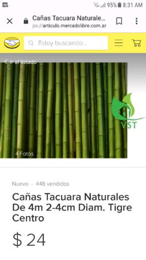 Vendo tacuaras (bambú)