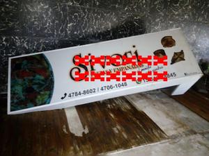 CARTEL CORPOREO ILUMINADO